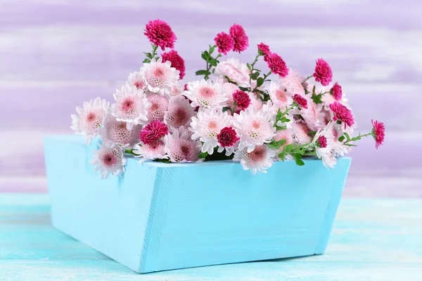Beautiful flowers in box on table on purple background