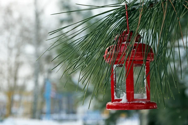 Decorative lantern hanging on fir tree branch on winter scene background