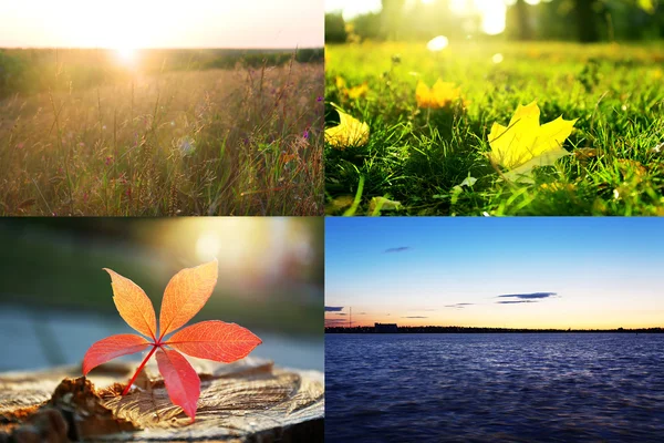 Beautiful nature collage