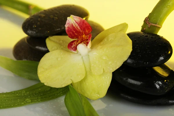 Spa stones with orchid and bamboo on light background