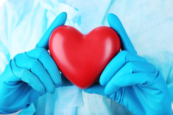 Decorative heart in doctors hands, close-up