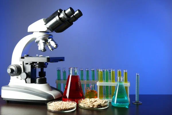 Microscope, grains and test tubes on table, on color background