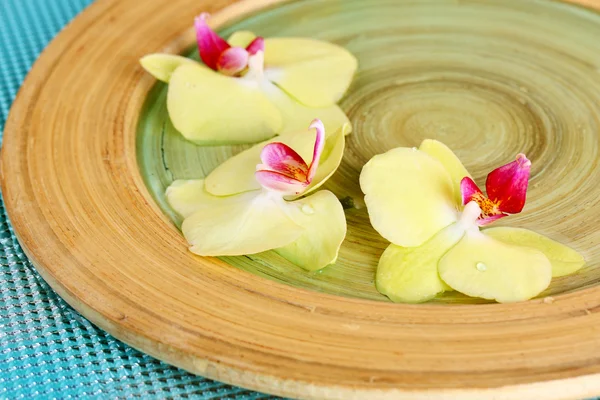 Beautiful orchid flowers in water close-up