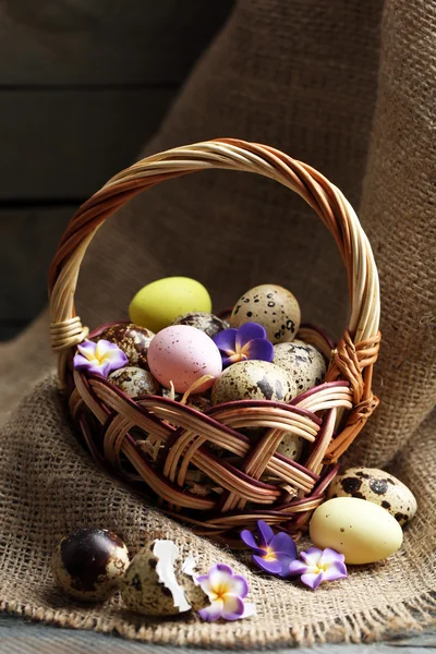 Bird eggs in wicker basket
