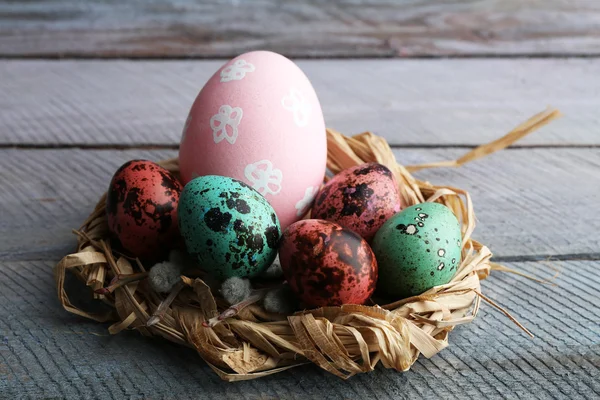 Bird colorful eggs