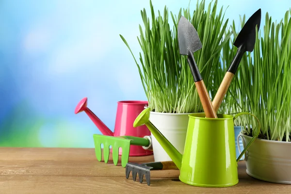 Fresh green grass in small metal buckets, watering can and garden tools on wooden table, on bright background