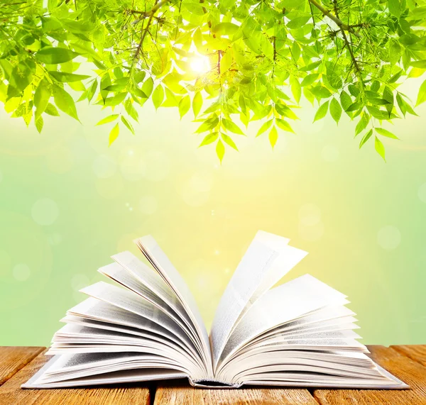 Opened book on table on nature background