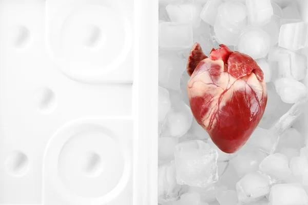 Heart organ with ice