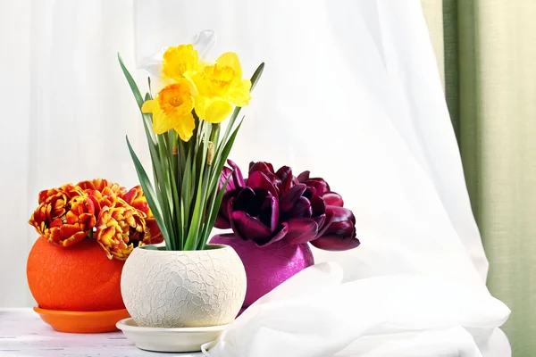 Beautiful flowers with green grass in pots on fabric background