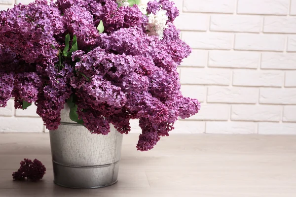 美丽的淡紫色花朵在房间特写 - 图库照片belch