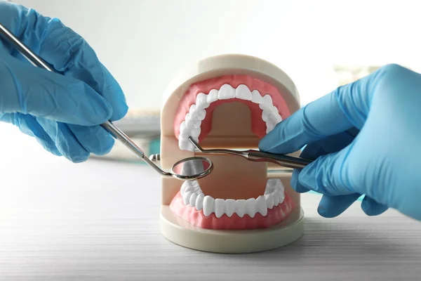 White fake teeth in hand of dentist