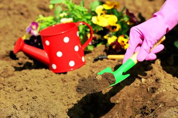 Female hands in pink gloves planting flowers, close-up