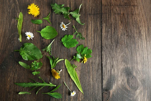 Various medicinal plants on wooden background