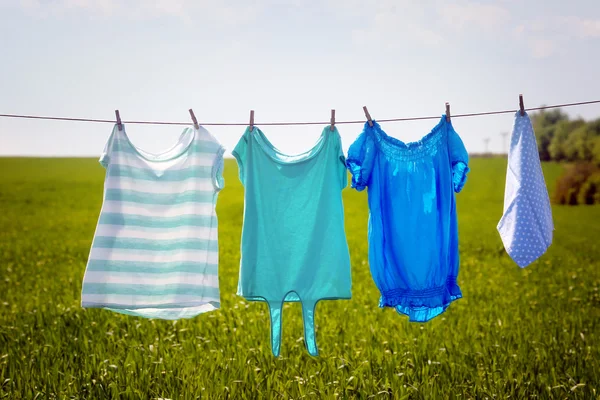 Laundry line with clothes in spring field