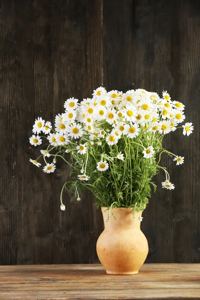 Beautiful bouquet of daisies in pitcher