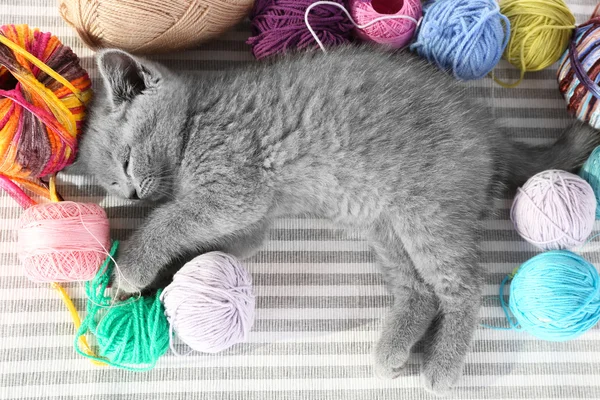 Kitten with colorful balls of thread