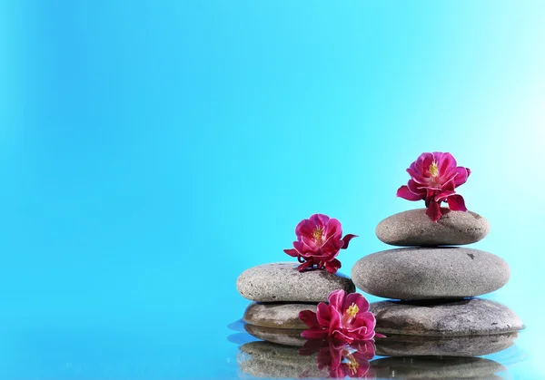 Stack of spa stones with flowers on blue background