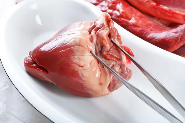 Heart organ in medical metal tray with tools