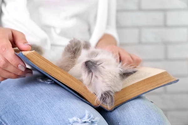 Young woman holding cat