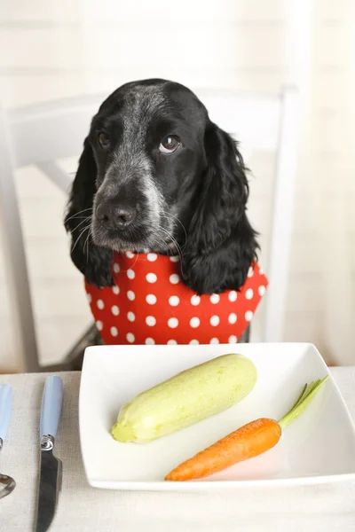 Dog looking at plate of fresh vegetables