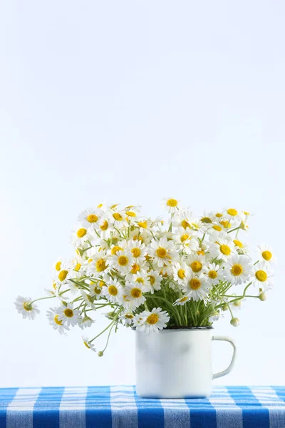 Beautiful bouquet of daisies