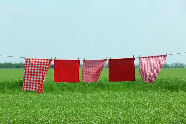 Laundry line with clothes in field