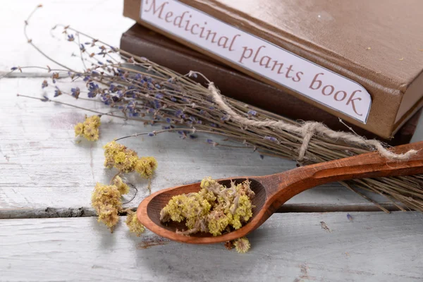 Medicinal plants book with dried herbs on table close up