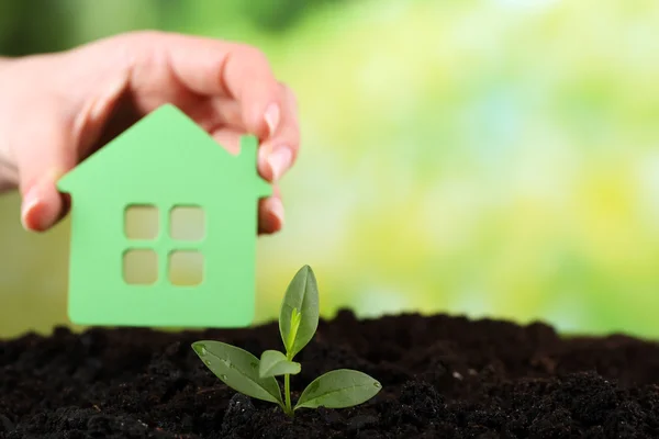 Green seedlings with small house in soil on bright background