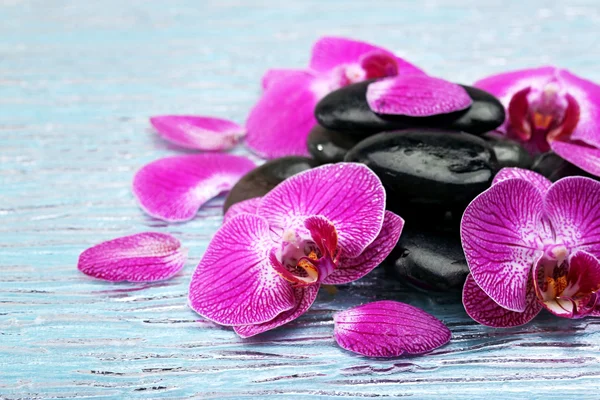Violet orchid and zen stones