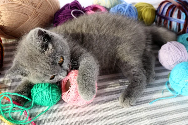 Cute gray kitten with colorful balls of thread on striped carpet, closeup