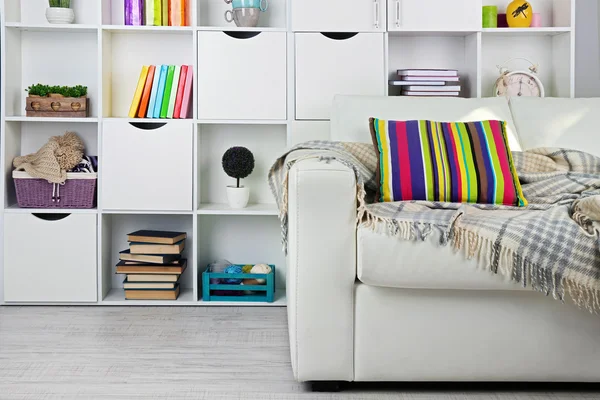 Living room with sofa and bookcase