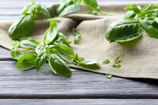 Green fresh basil with napkin