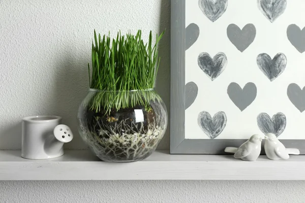 Transparent pot with fresh green grass on shelf