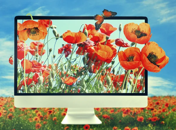 New modern computer with nature wallpaper on screens on poppies field against blue sky background