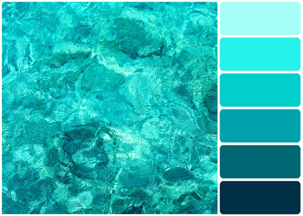 Clear ocean water and palette of colors