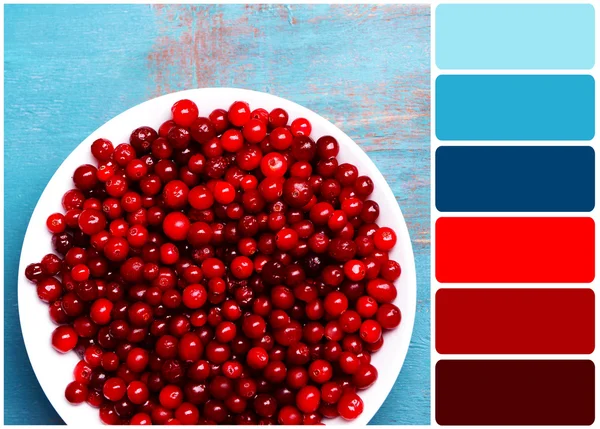 Cranberries in bowl on wooden background and palette of colors
