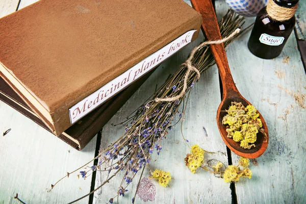 Medicinal plants book with dried herbs on t