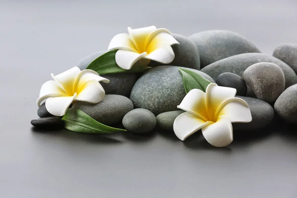 Spa stones with flowers on gray background