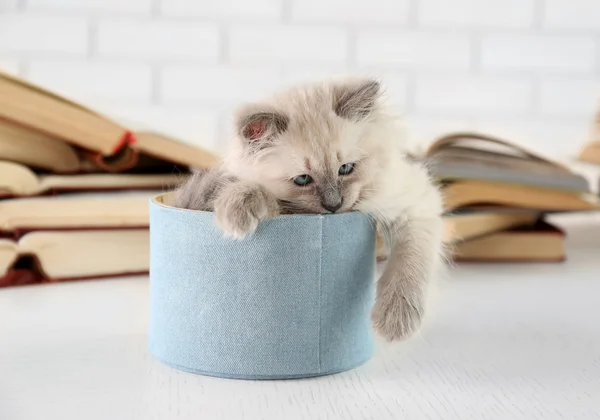Cute little cat in box near books