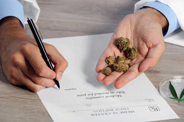 Doctor hand holding dry medical cannabis on table close up