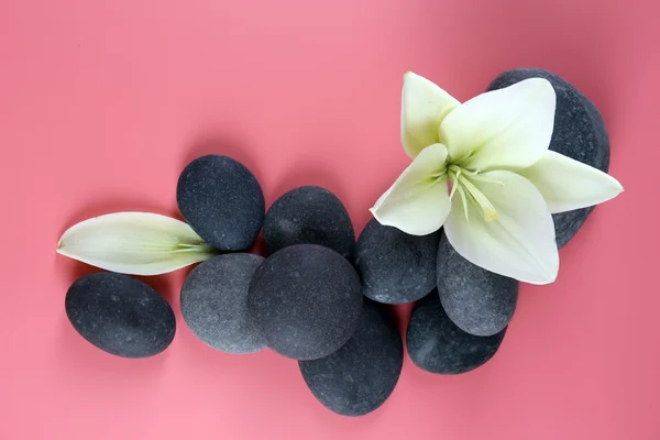 Spa stones with flower on pink background