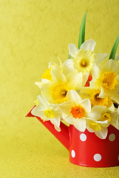 Fresh narcissus flowers on yellow wallpaper background