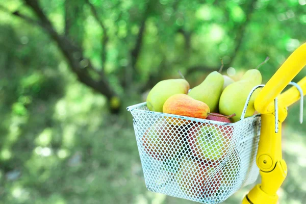 Basket of juicy fruits on bike