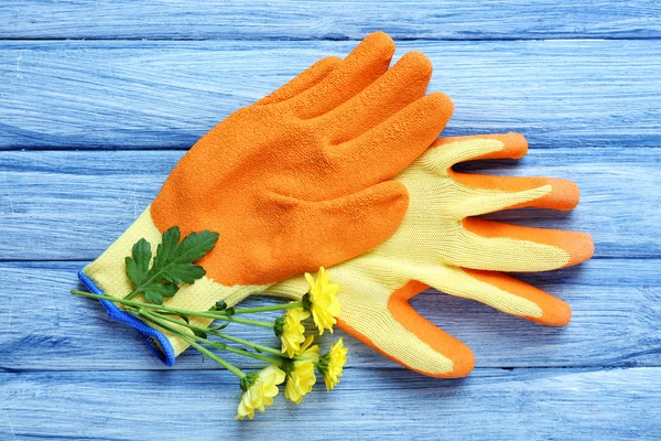 Beautiful composition of flower and garden gloves on blue wooden background