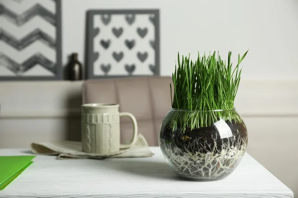 Pot with fresh green grass
