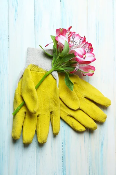 Flower bouquet and garden gloves