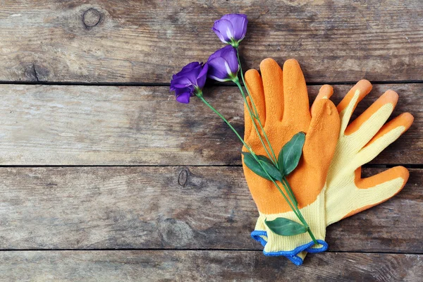 Flower and garden gloves