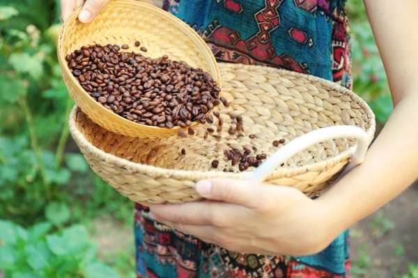 Woman spills coffee beans from one basket to the other one