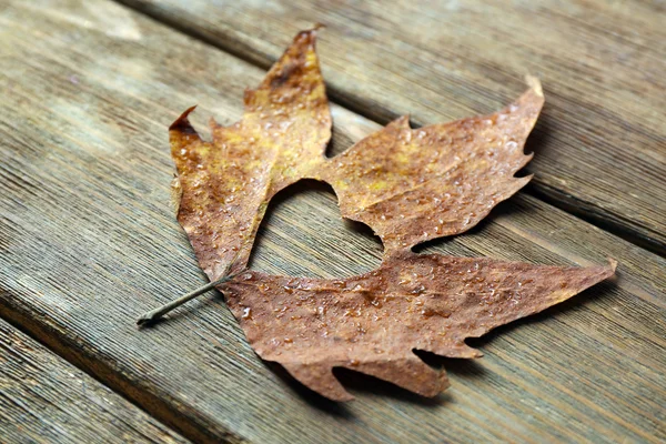 Dried autumn leaf with cutout heart