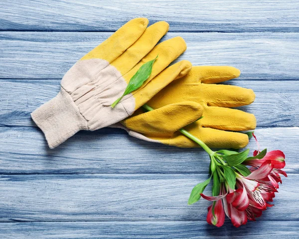 Yellow garden gloves and purple flower